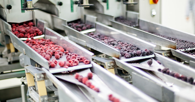 conservación en frio